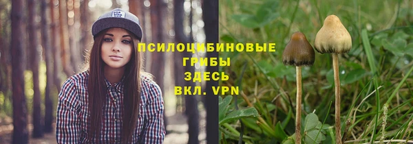 дмт Верхний Тагил