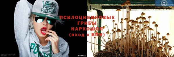дмт Верхний Тагил