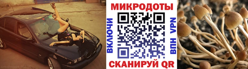 Галлюциногенные грибы GOLDEN TEACHER  Купить  Кстово 